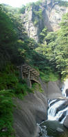 f2a89520.jpg
