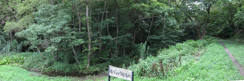 82a6b651.jpg