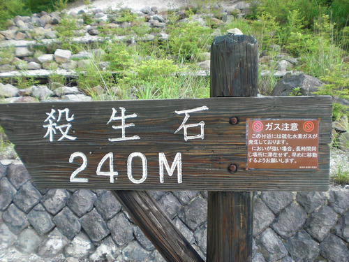 CIMG4596.jpg