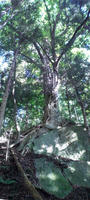 709c83cd.jpg