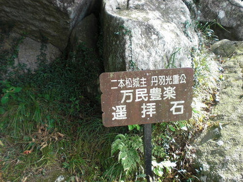 CIMG5047.jpg