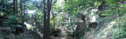 d19f8b38.jpg