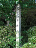 CIMG5076.jpg