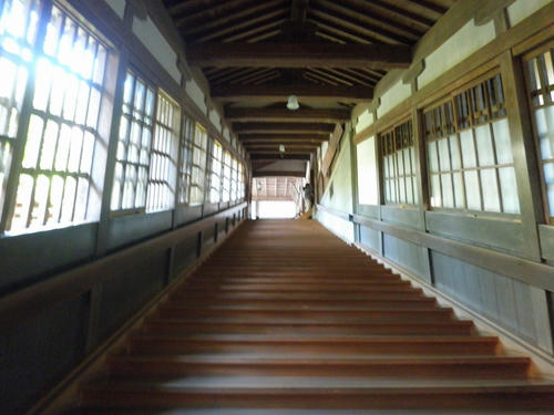 P9260013.jpg