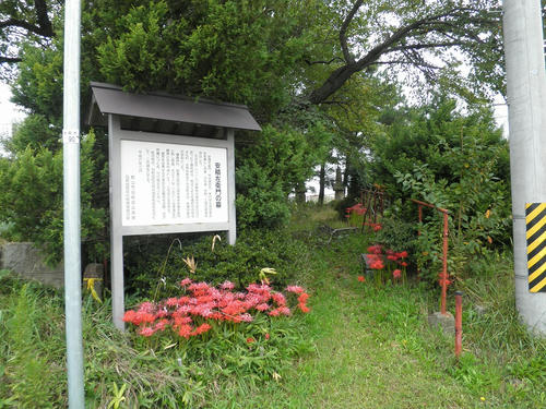 PA040016.jpg