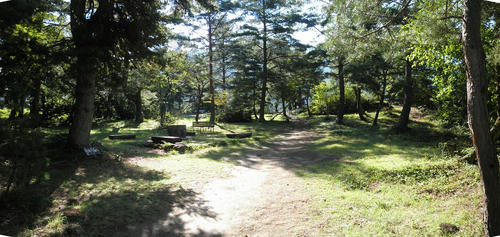 a4e50f90.jpg