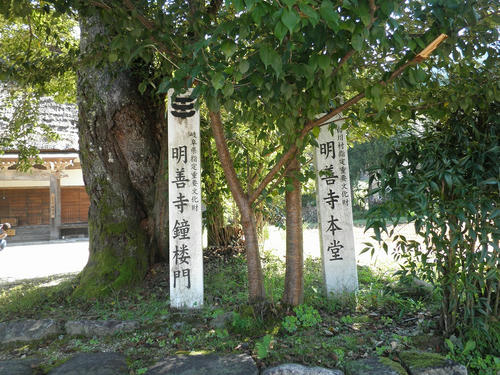 P9270121.jpg