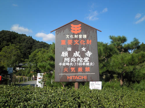 PA230183.jpg