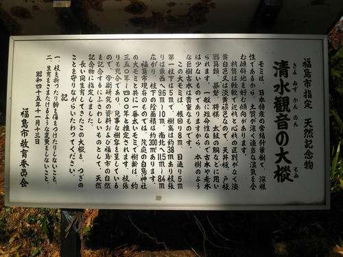 PB260016.jpg