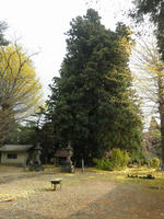 PB260026.jpg