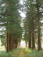PB260035.jpg