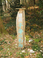 PB260024_R.jpg
