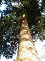 PB260017_R.jpg