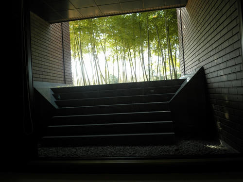 PC050010.jpg