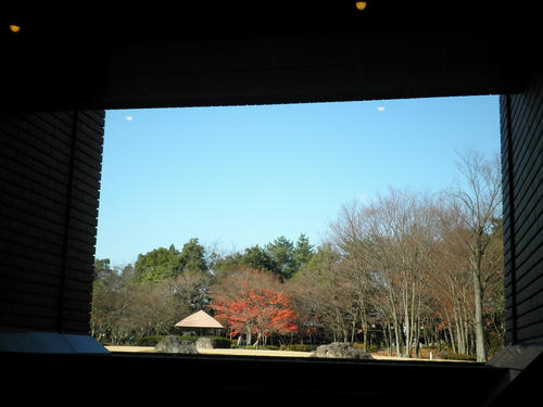 PC050011.jpg