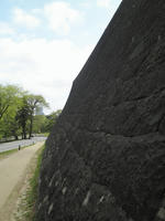 P5050098.jpg