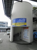P5050116.jpg