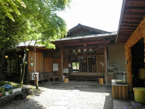 P5310110.jpg