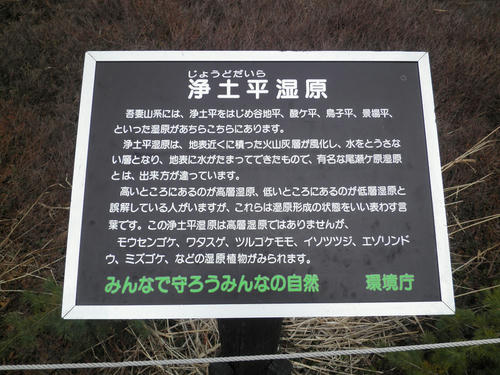 P5210032.jpg