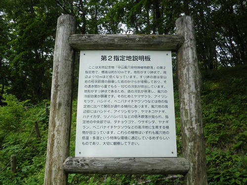 P6090041.jpg