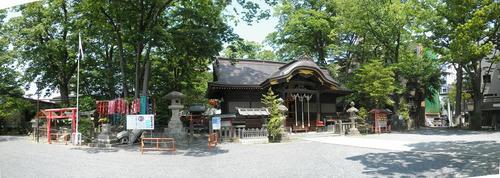 c9366303.jpg