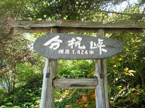 P9150201.jpg