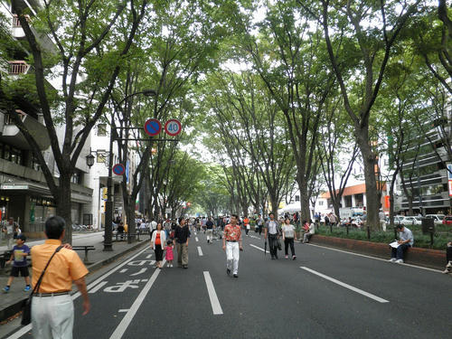 P9110185.jpg