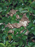 PA020024.jpg