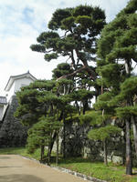 PA230003.jpg
