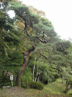 PA230021.jpg