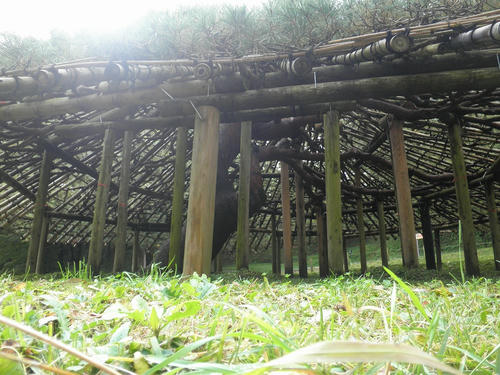 PA230019.jpg