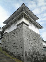 PA230046.jpg