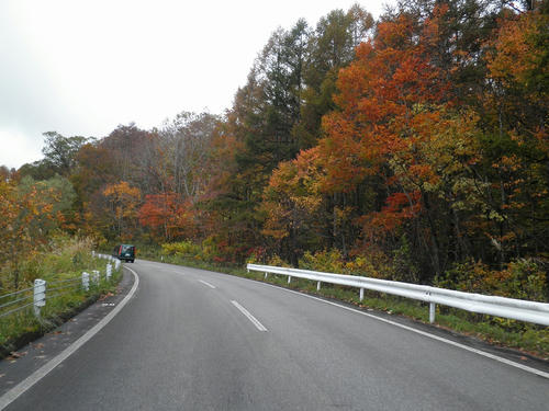 PA230059.jpg