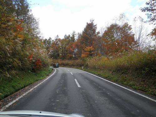PA230060.jpg
