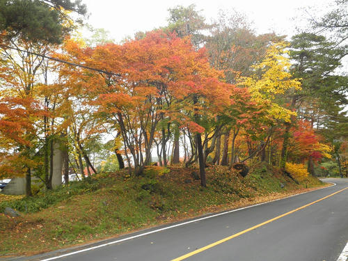 PA230093.jpg