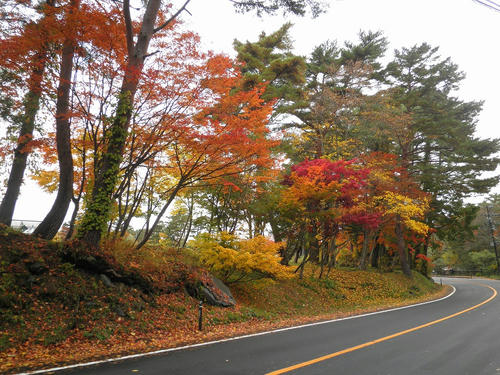 PA230096.jpg