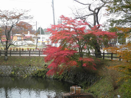 PB050016.jpg