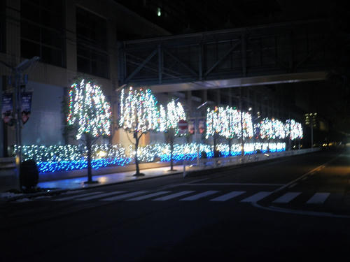 PC200008.jpg