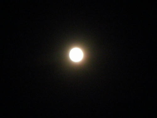 P5050048-2.jpg