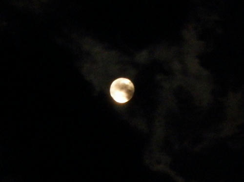 P5050021-2.jpg
