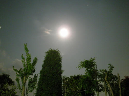 P5050060-2.jpg