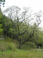 P5080115_R.jpg