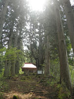 P5080056_R.jpg