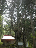 P5080055_R.jpg