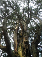 P5080052_R.jpg