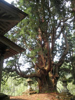 P5080046_R.jpg