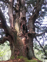 P5080051_R.jpg