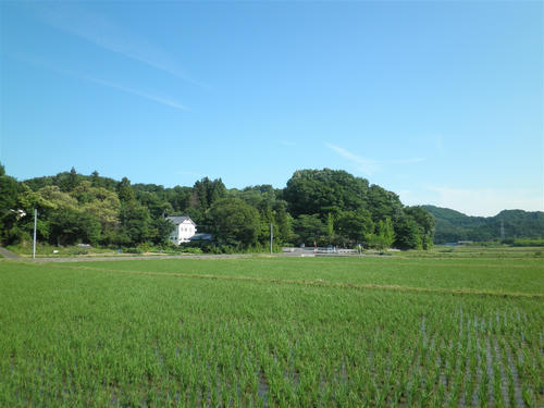 P6270108_R.jpg