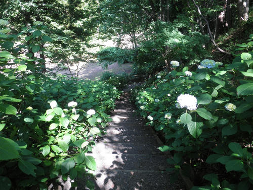 P6270106_R.jpg