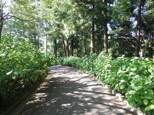 P6270086_R.jpg